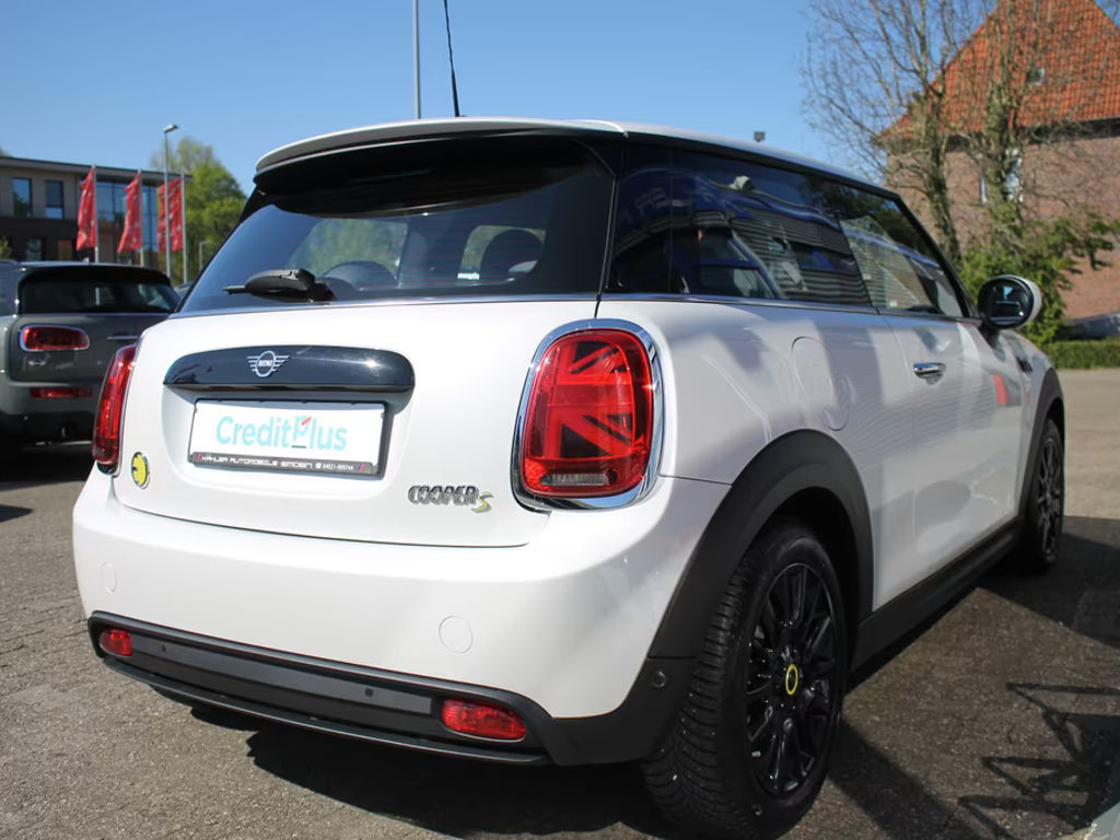 Mini Mini Electric