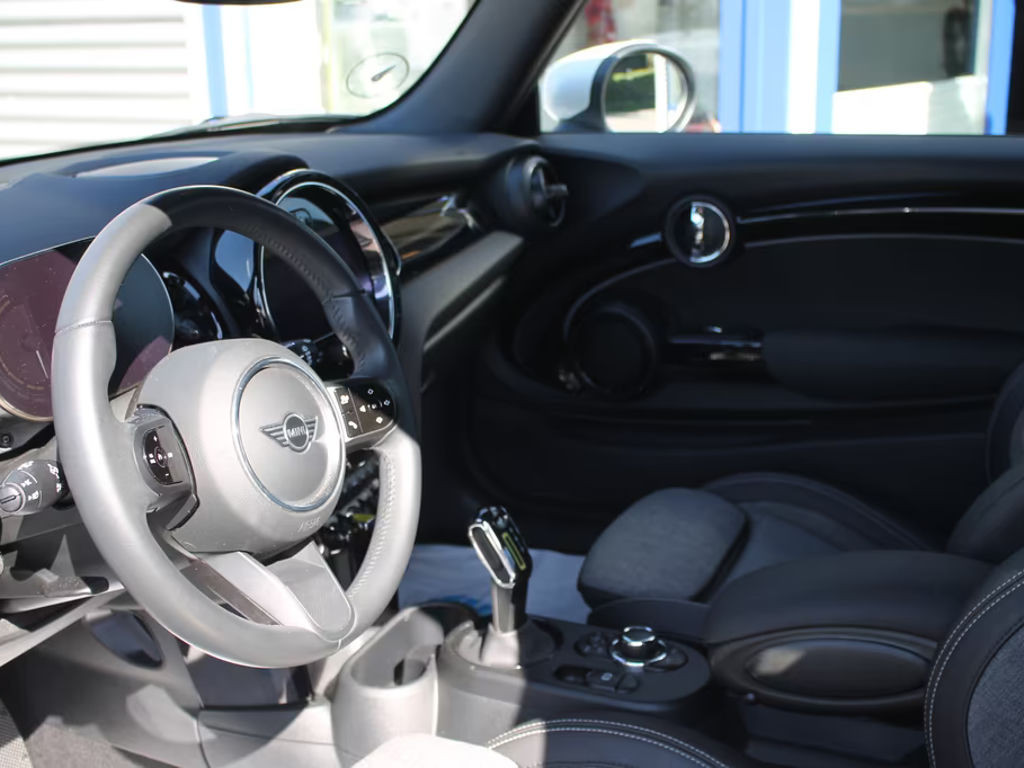 Mini Mini Electric