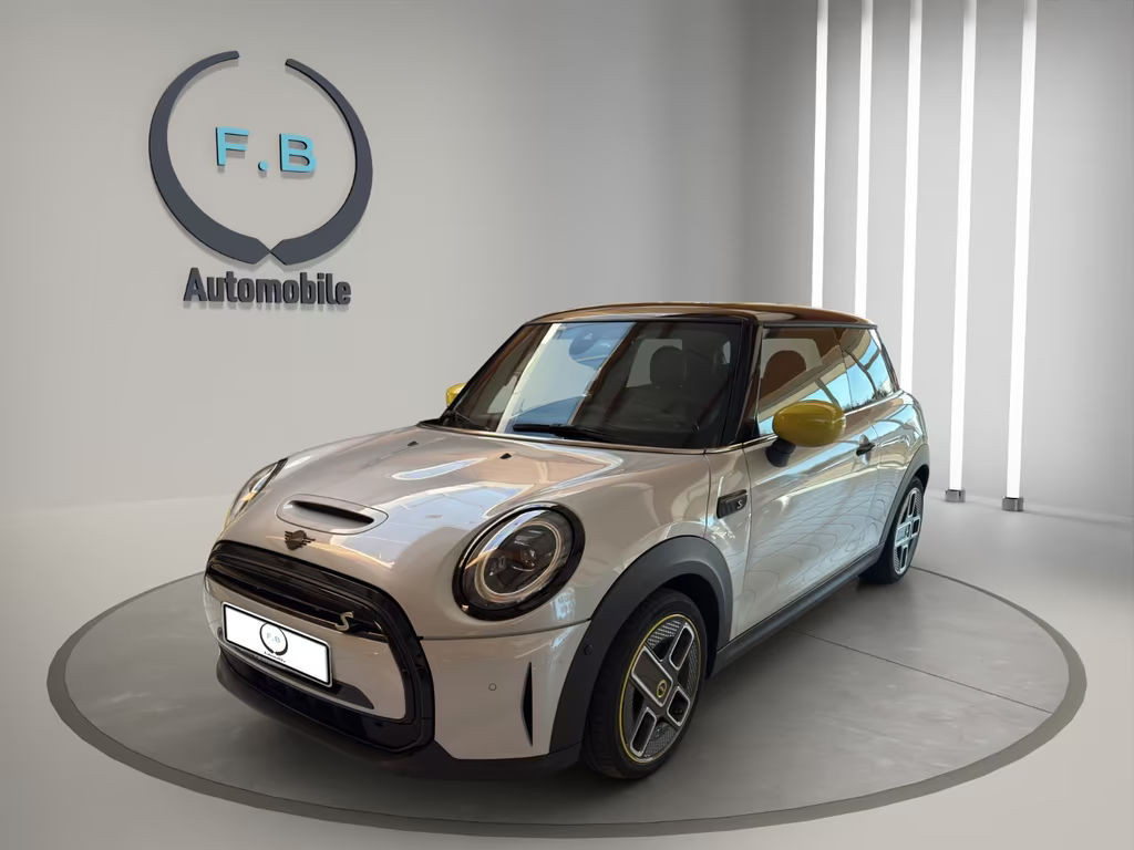 Mini Mini Electric