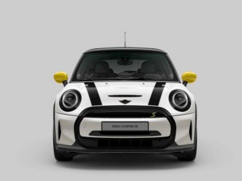 Mini Mini Electric