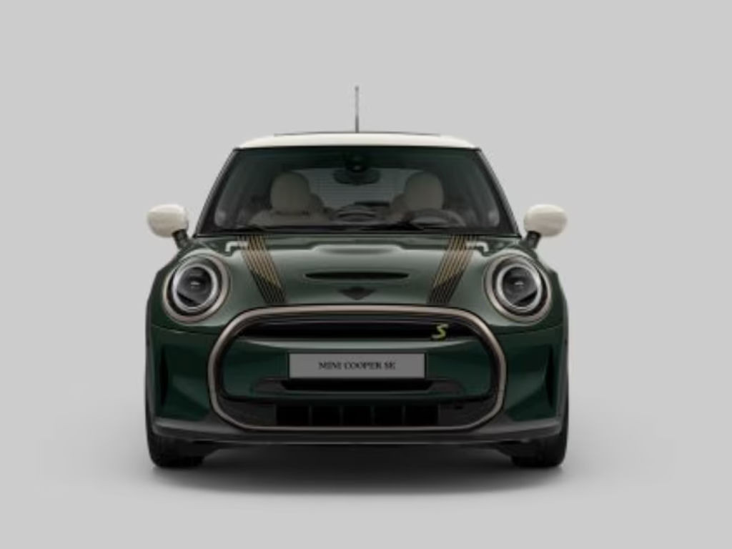 Mini Mini Electric