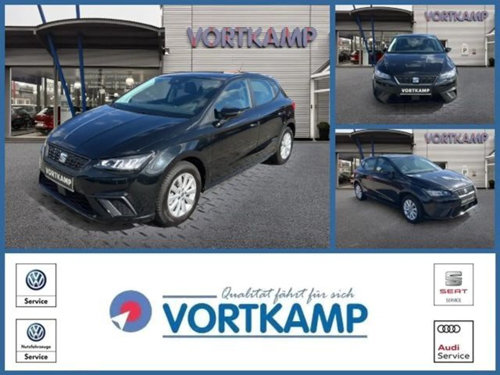 Seat Ibiza Style