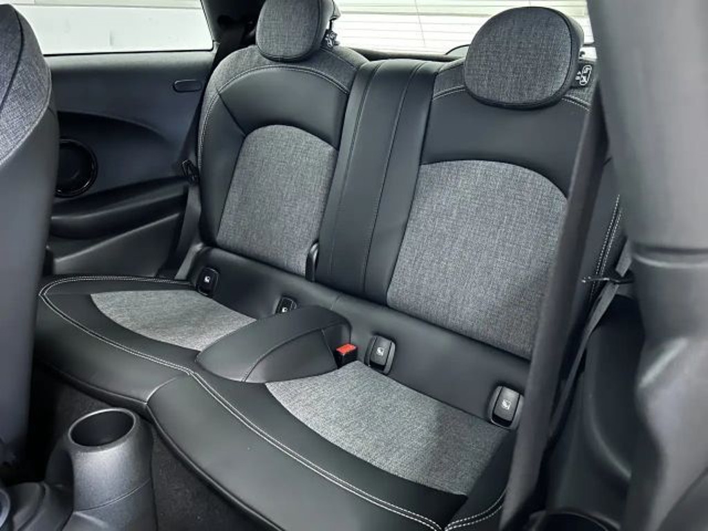 Mini Mini Electric