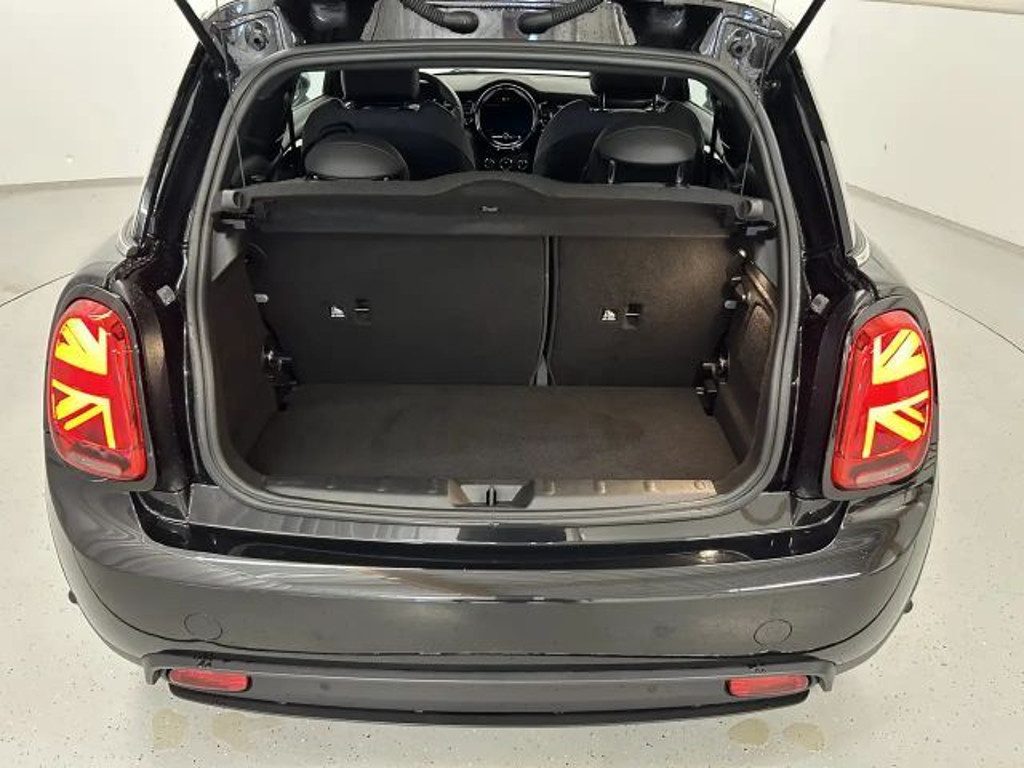 Mini Mini Electric