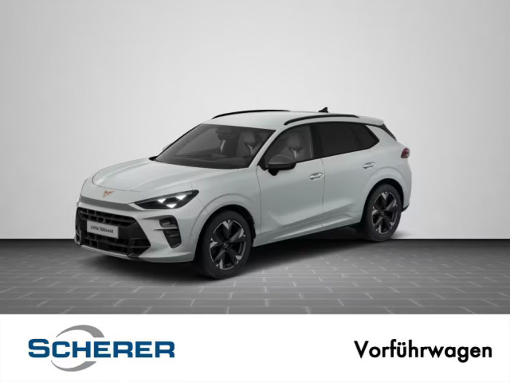 Cupra Terramar 2.0 TSI