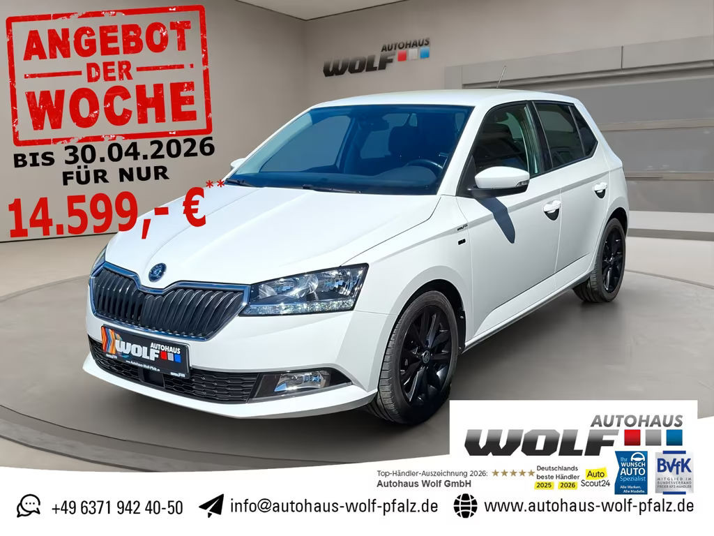 Skoda Fabia Clever 1.0 TSI Best