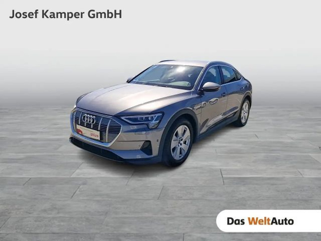 Audi e-tron Business 55