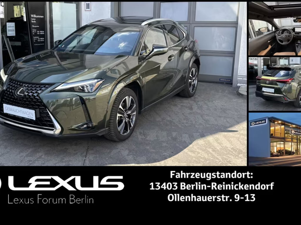 Lexus UX Luxury Line 250h