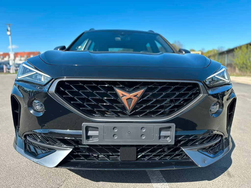 Cupra Formentor 1.5 Impulse,XenonLED,PDC,Kamera,Leder
