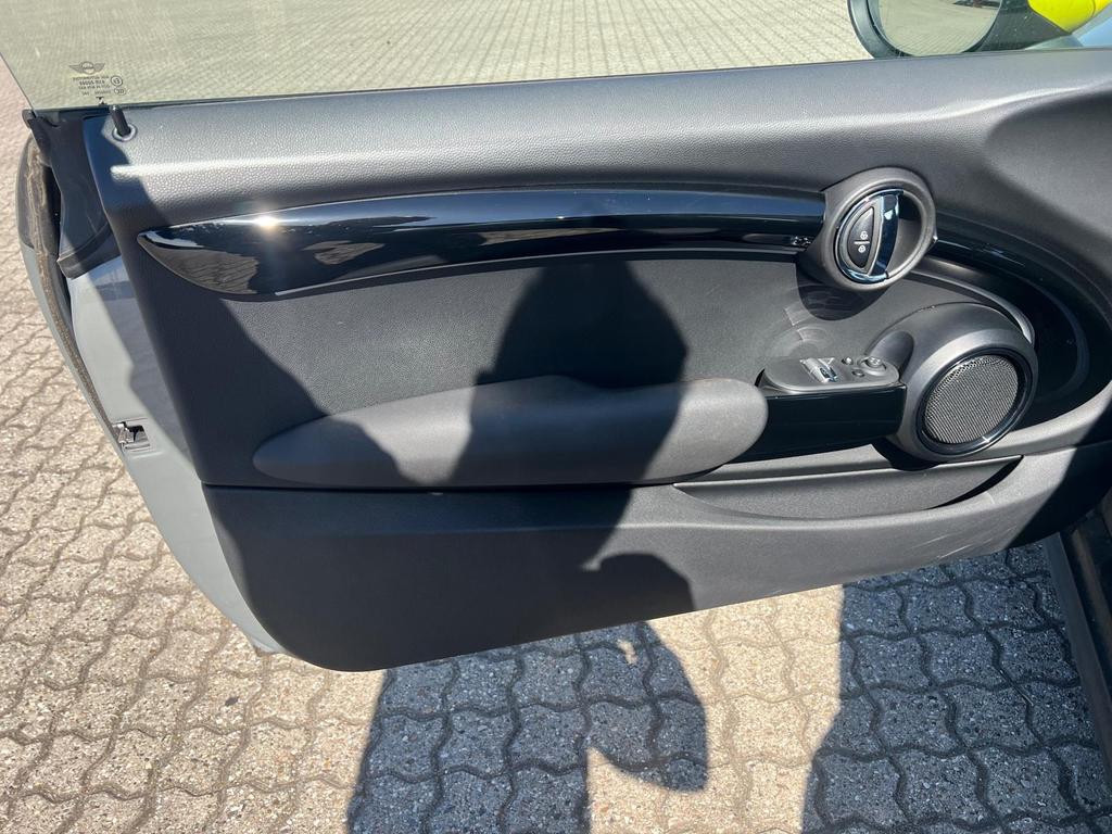 Mini Mini Electric