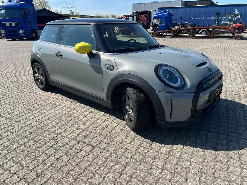 Mini Mini Electric
