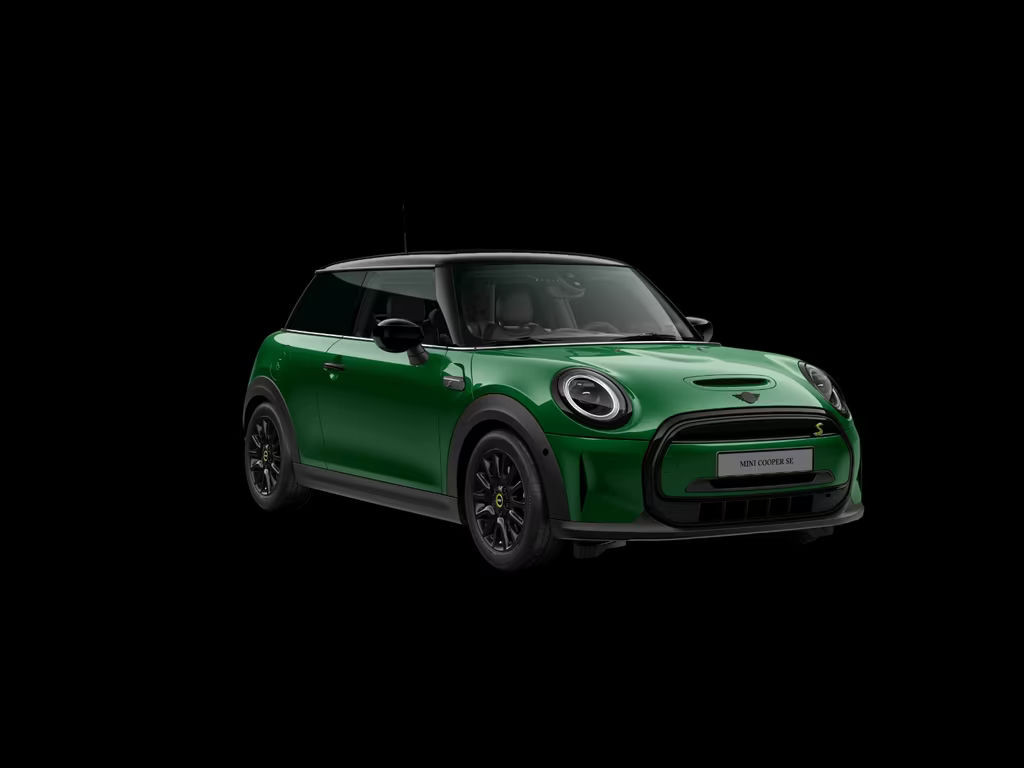 Mini Mini Electric