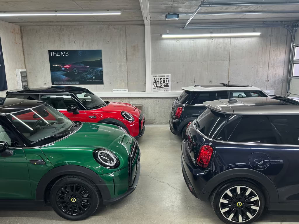 Mini Mini Electric