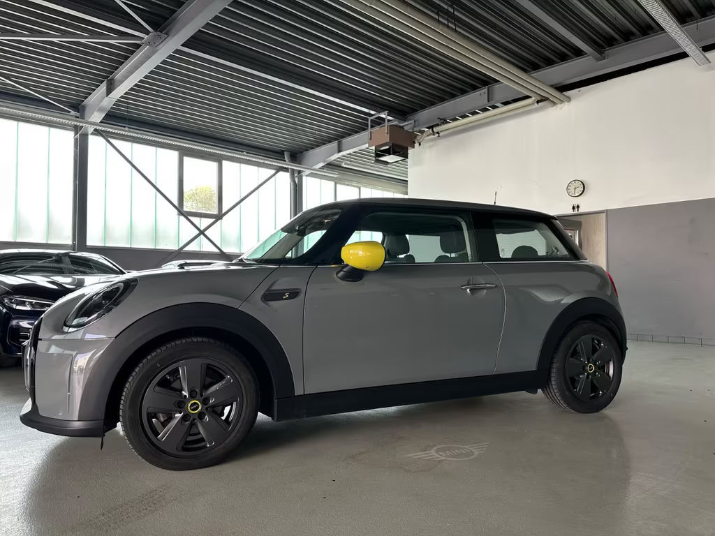 Mini Mini Electric