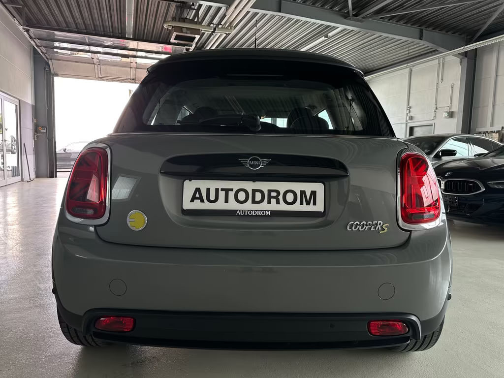 Mini Mini Electric