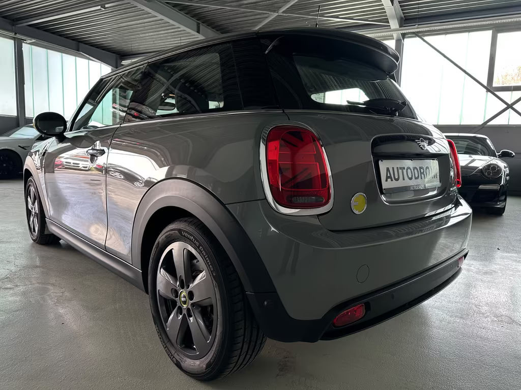 Mini Mini Electric