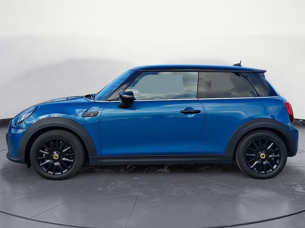 Mini Mini Electric