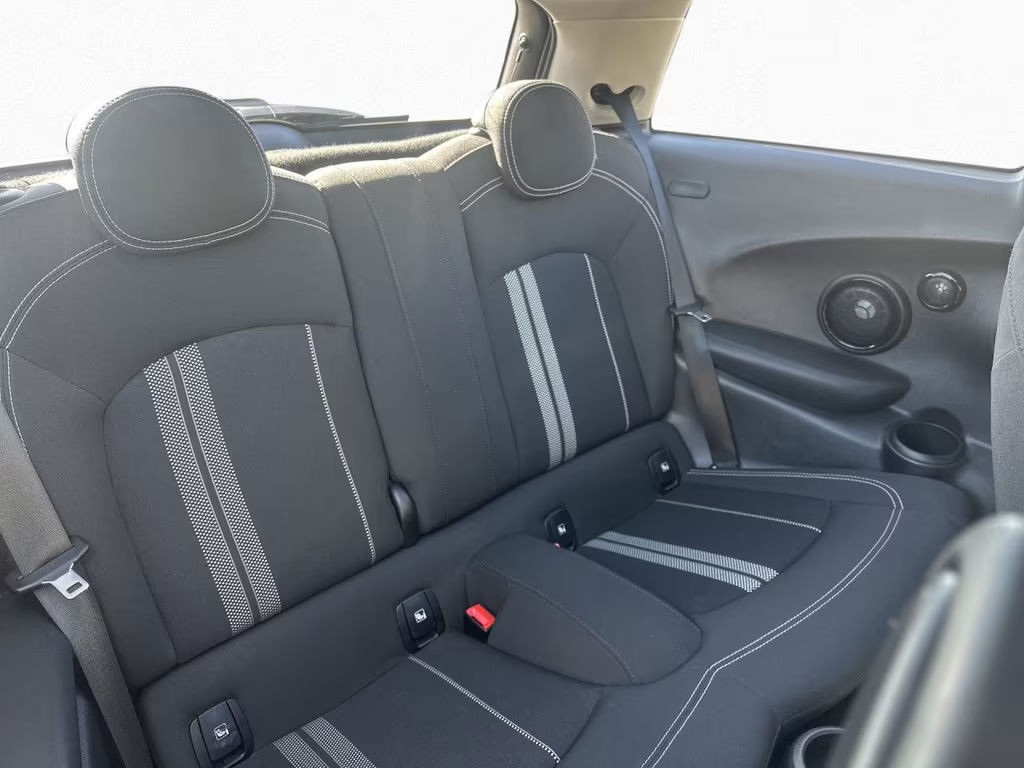 Mini Mini Electric