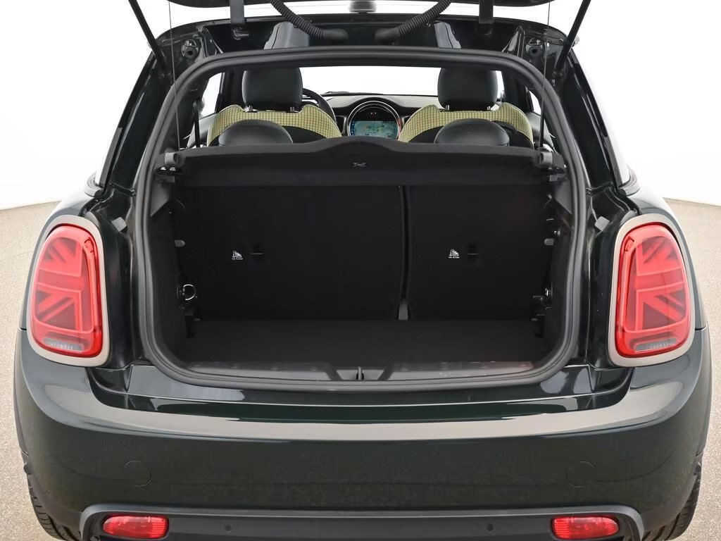 Mini Mini Electric