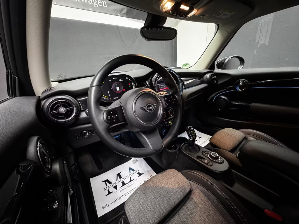 Mini Mini Electric
