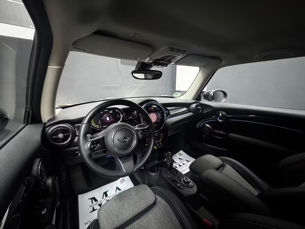 Mini Mini Electric