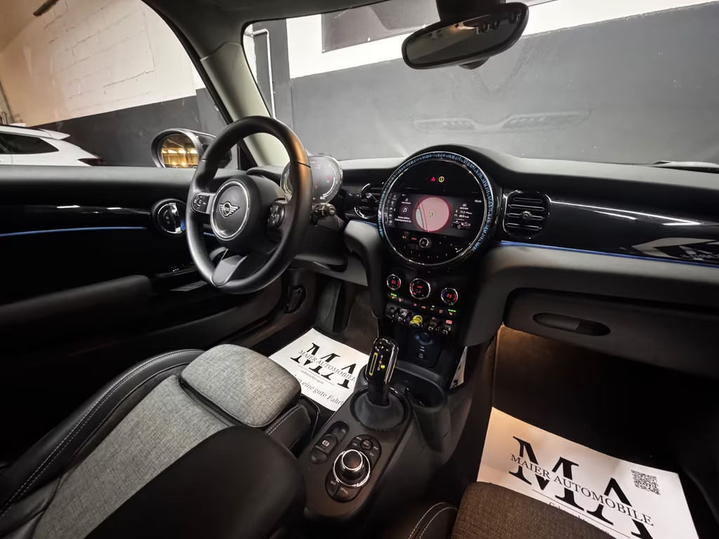 Mini Mini Electric
