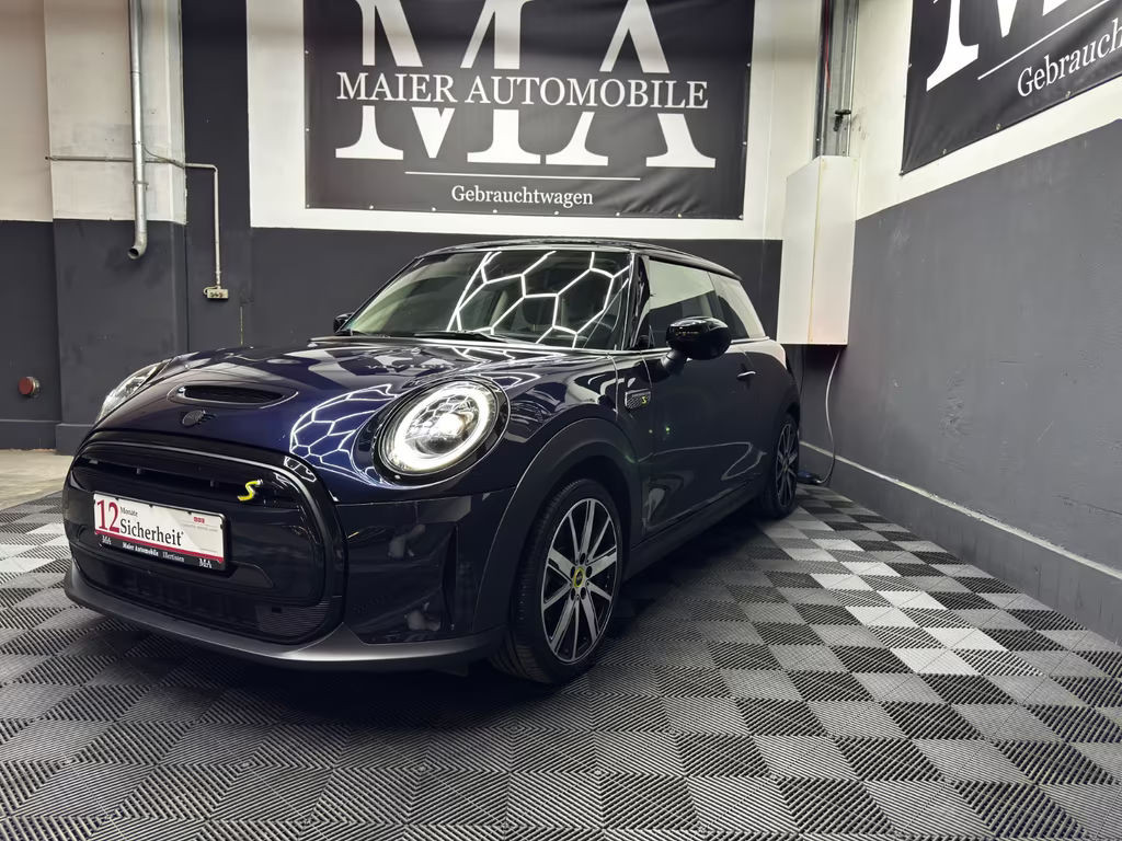 Mini Mini Electric