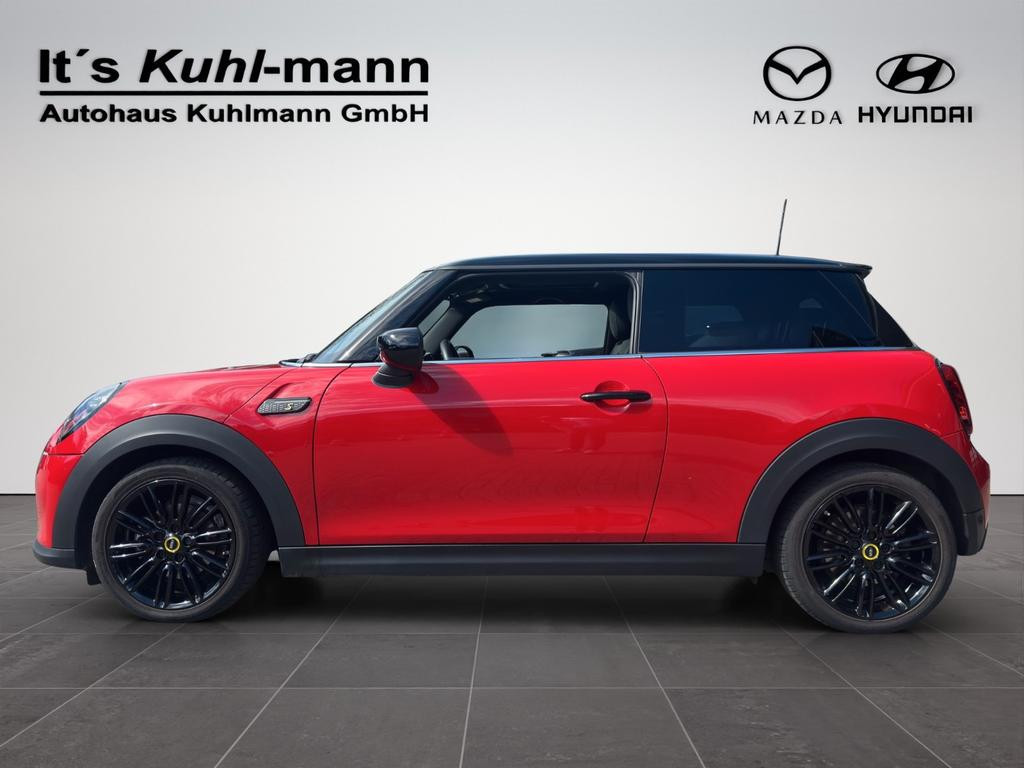 Mini Mini Electric