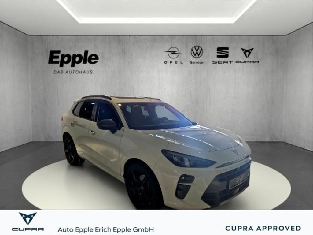 Cupra Terramar 2.0 TSI VZ