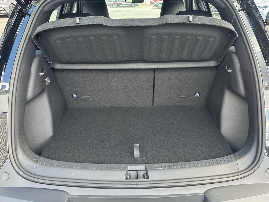 BYD Atto 2
