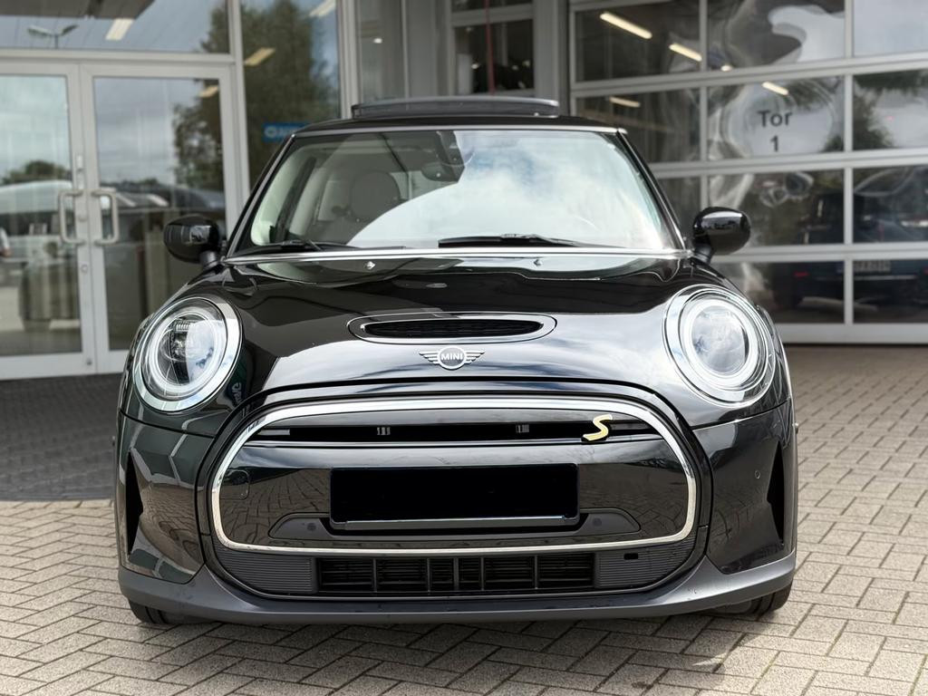 Mini Mini Electric