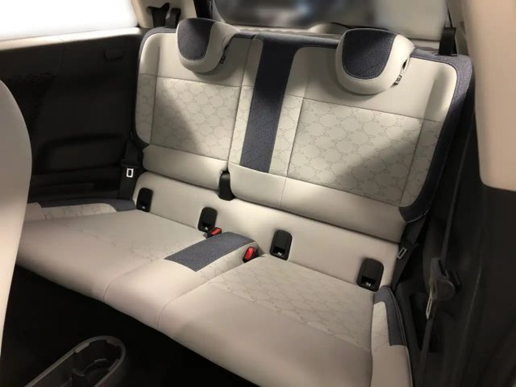 Mini Mini Electric