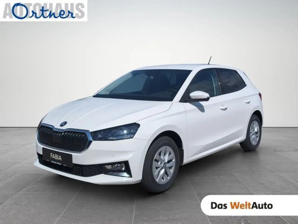 Skoda Fabia Selection