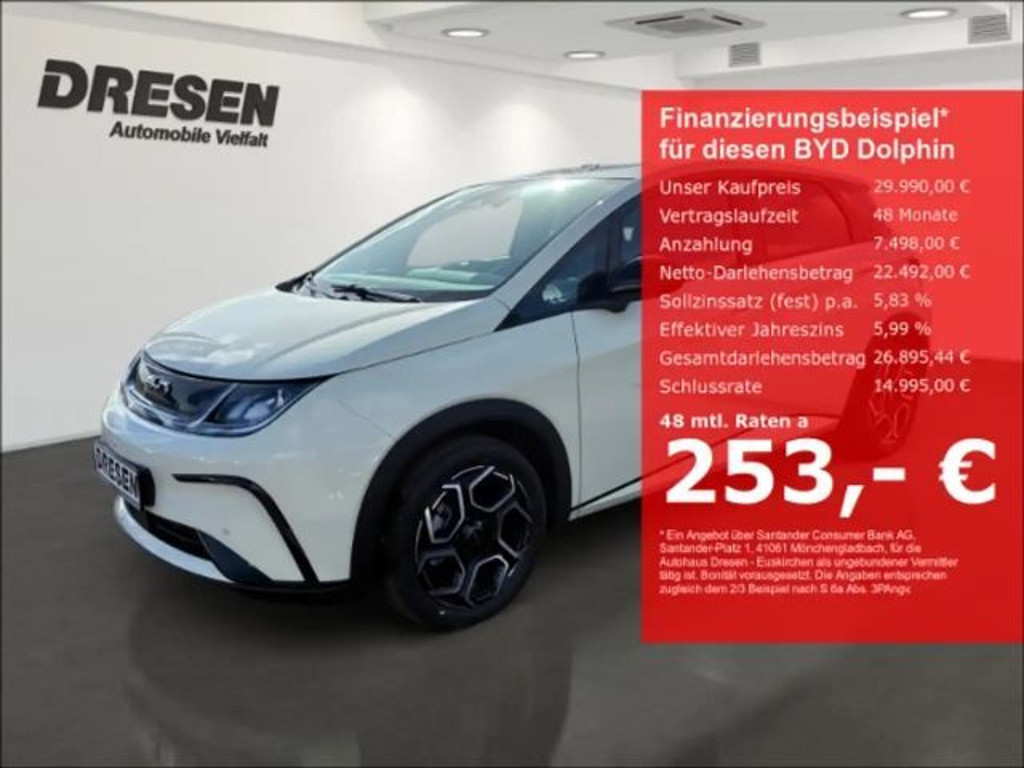 BYD Dolphin Design
