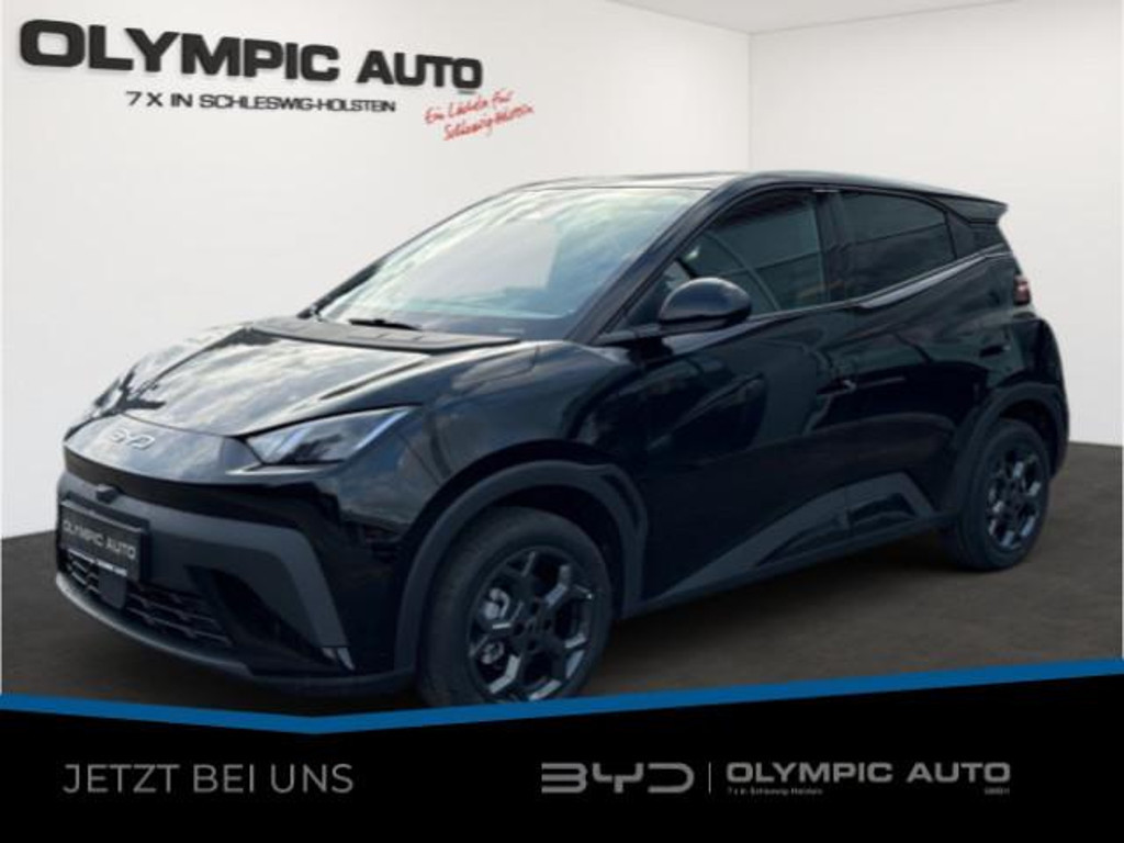 BYD Dolphin Comfort