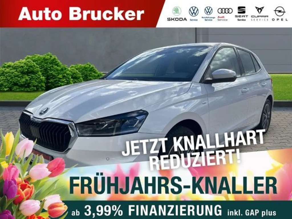 Skoda Fabia Tour