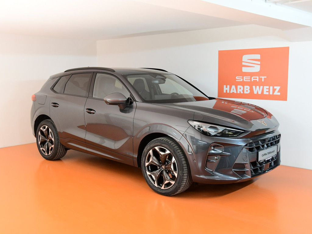 Cupra Terramar
