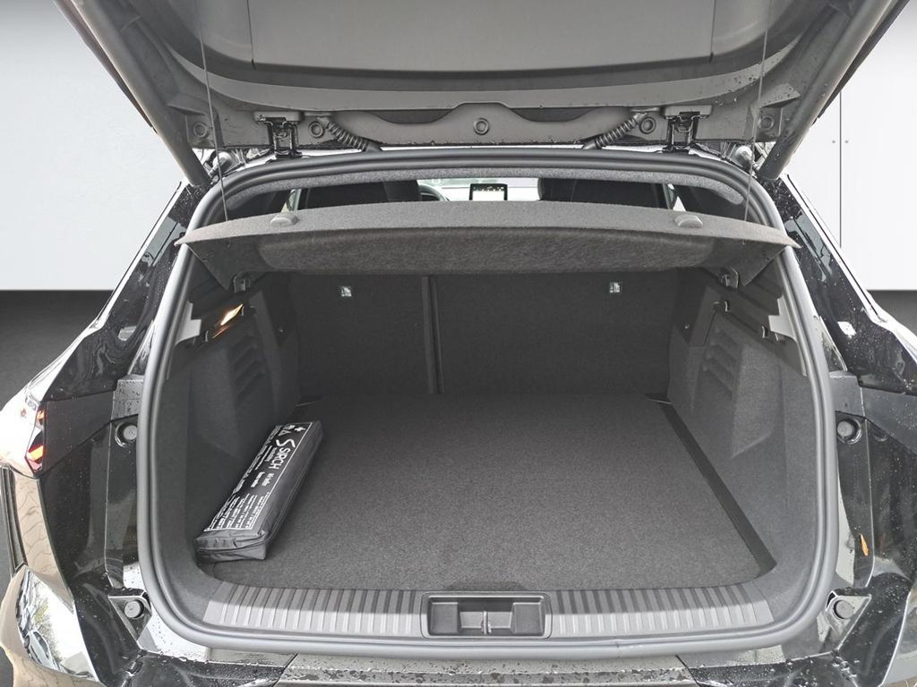 Mitsubishi Grandis