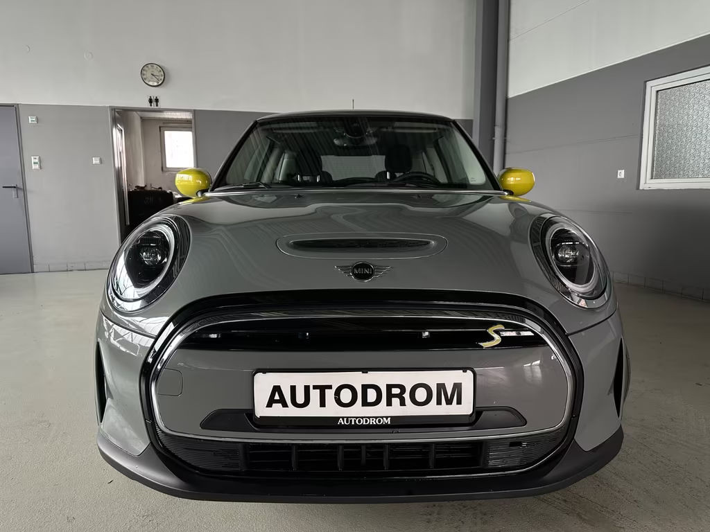 Mini Mini Electric