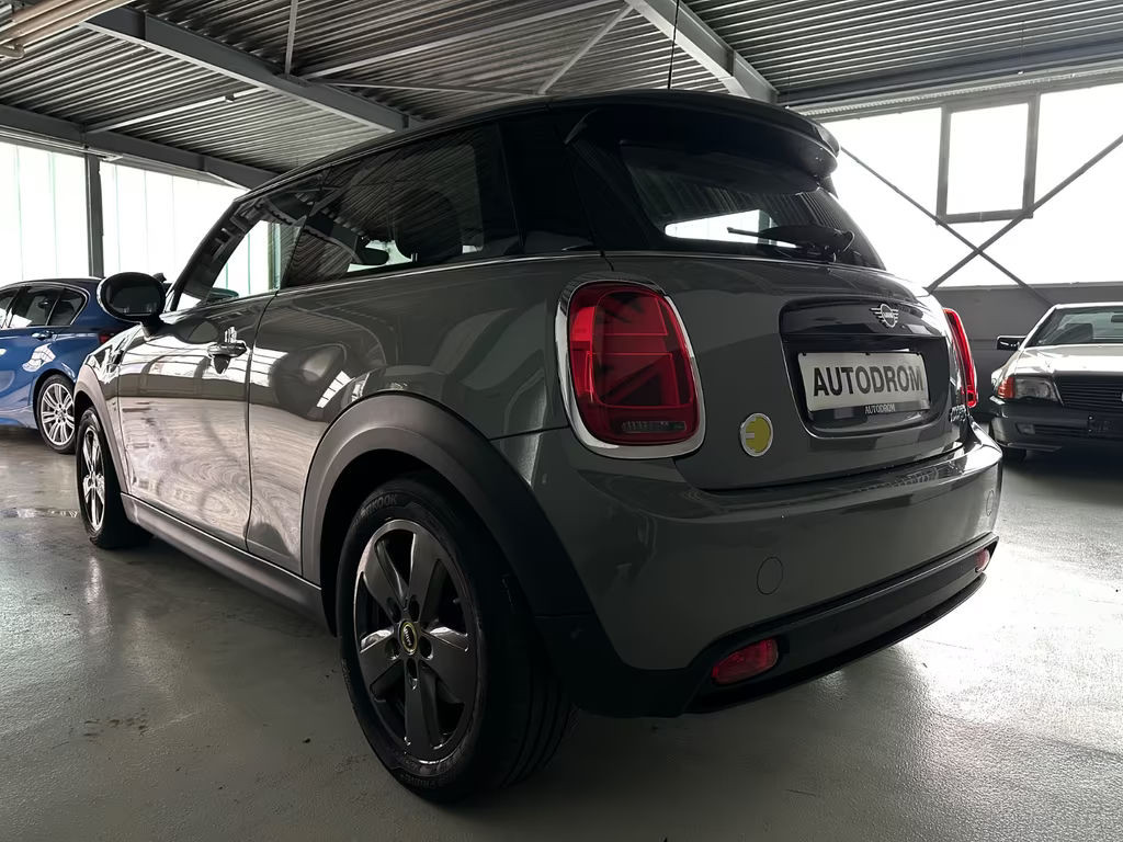 Mini Mini Electric