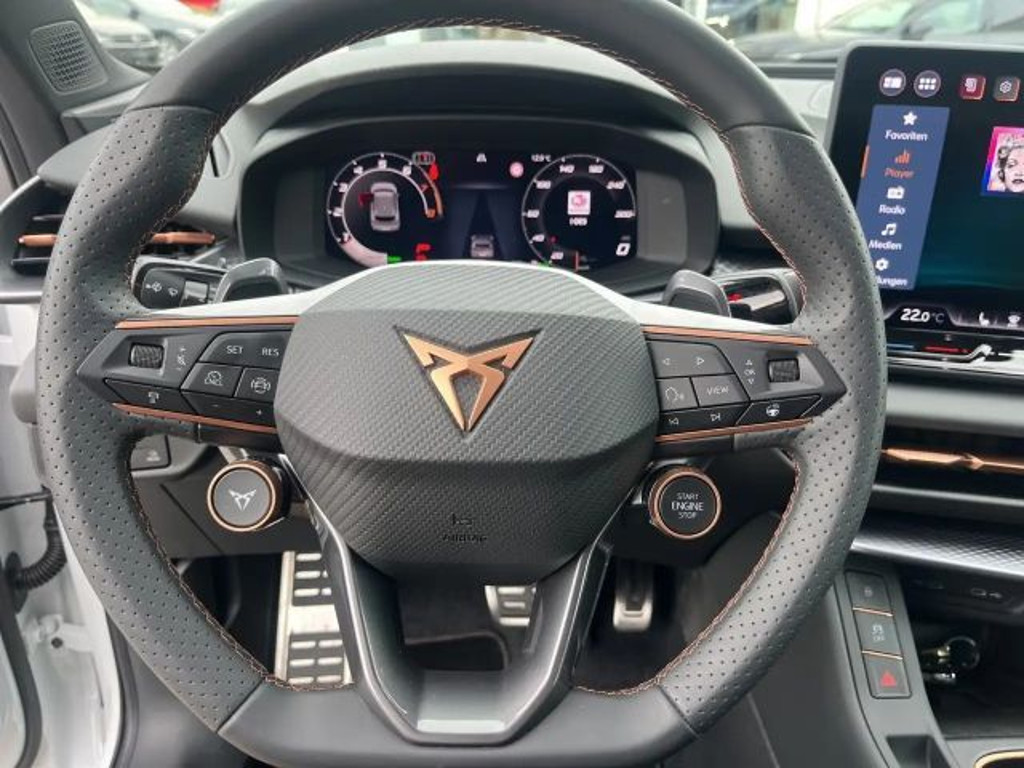 Cupra Terramar