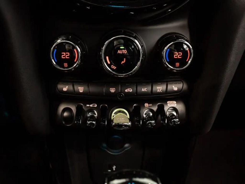 Mini Mini Electric