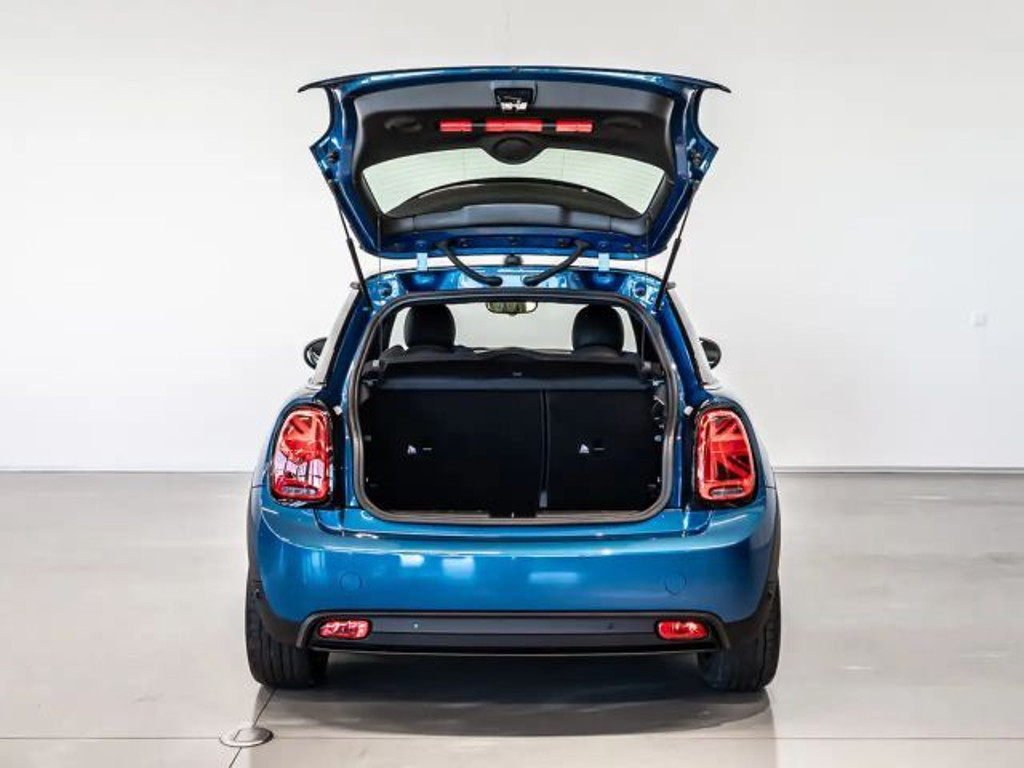 Mini Mini Electric