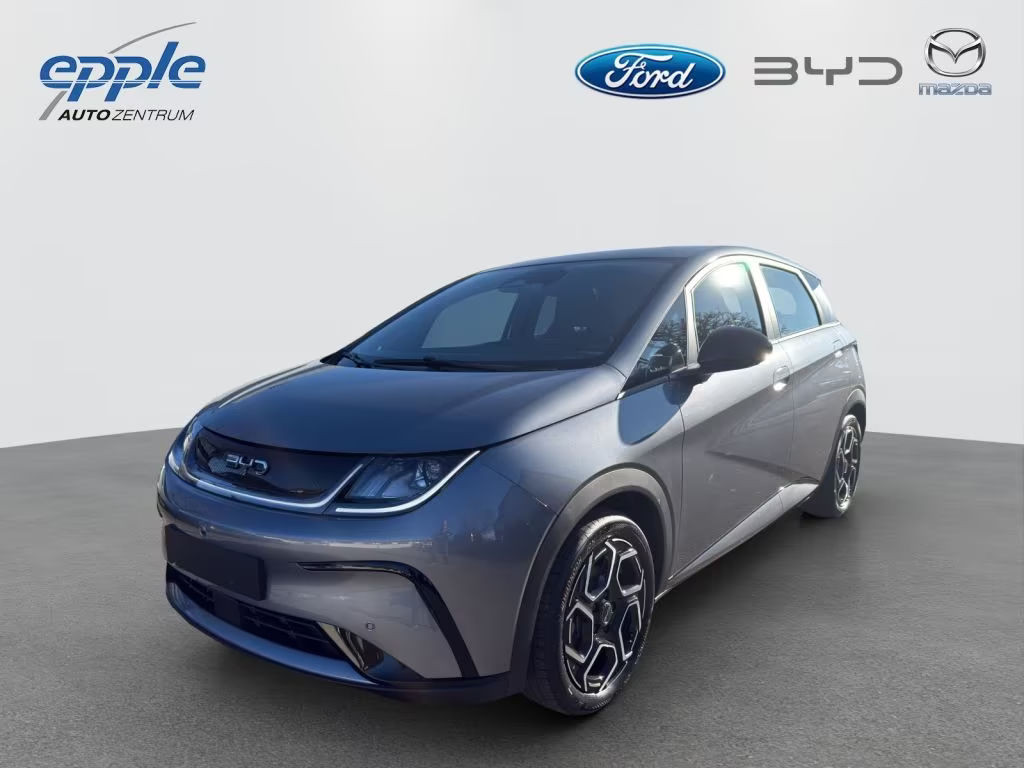 BYD Dolphin Comfort