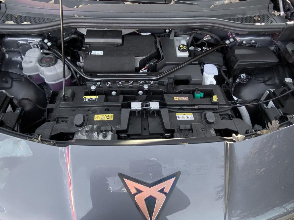Cupra Tavascan