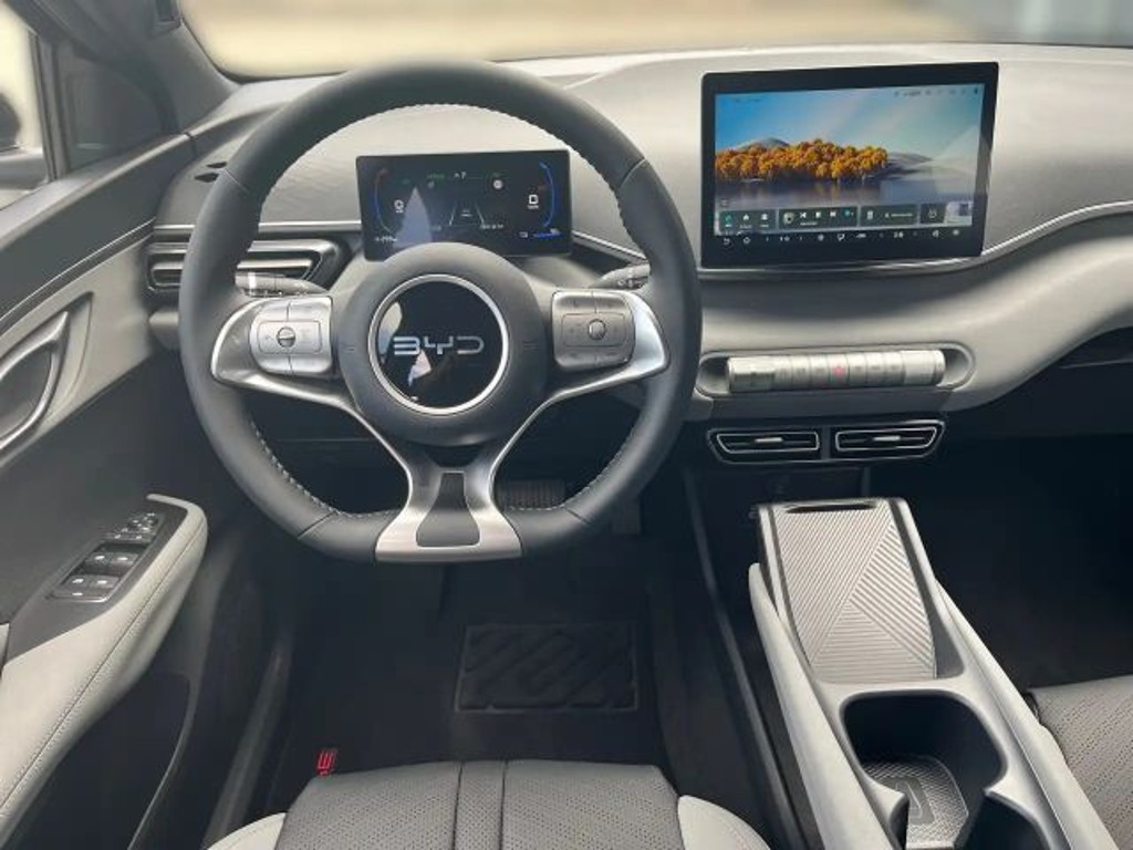 BYD Dolphin Surf