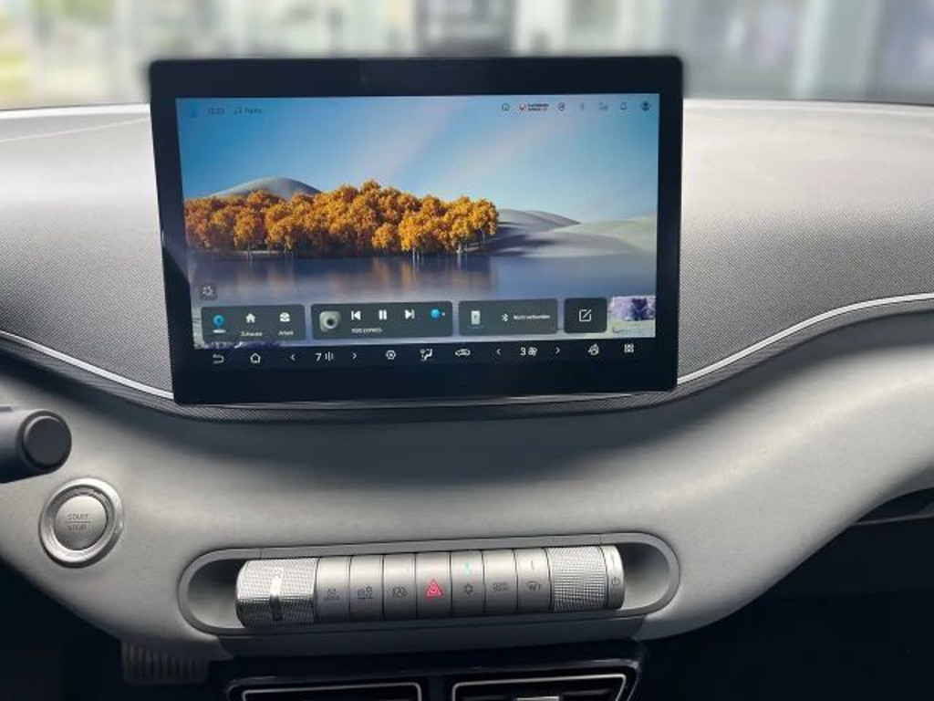 BYD Dolphin Surf