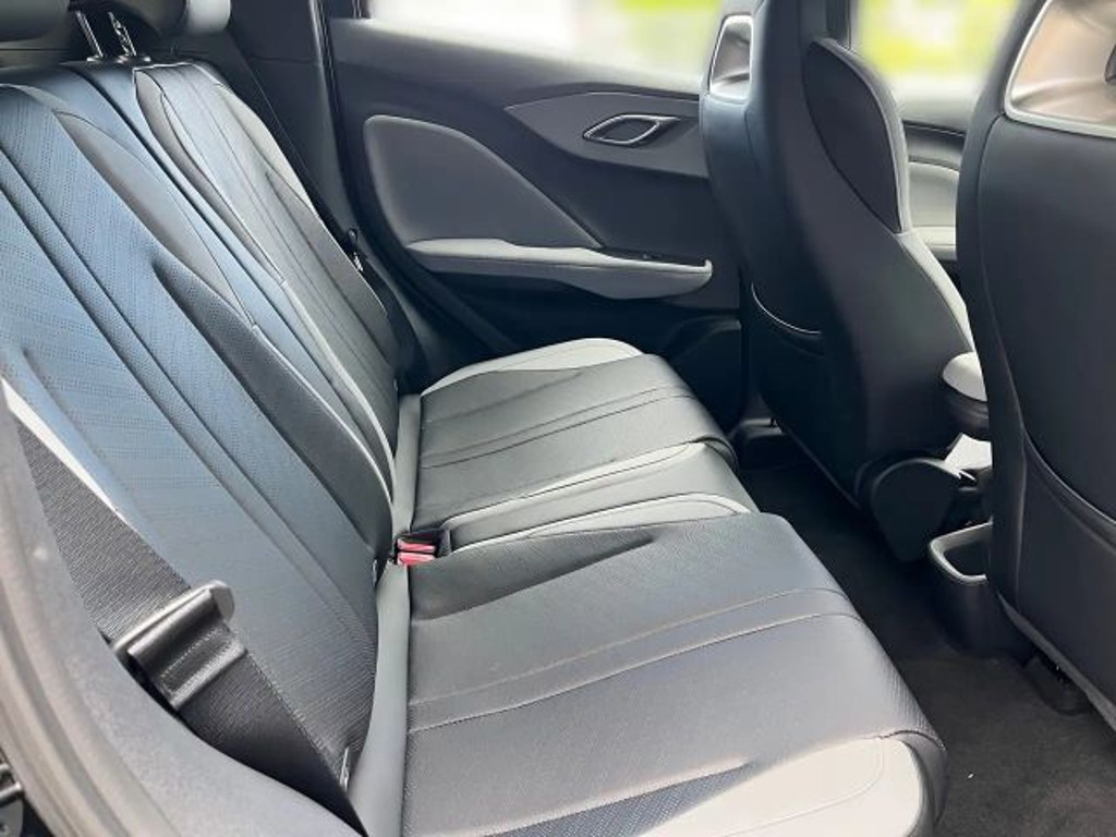 BYD Dolphin Surf