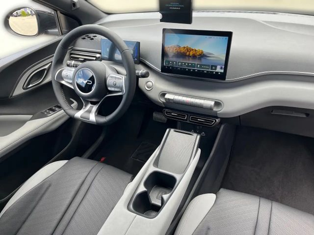 BYD Dolphin Surf
