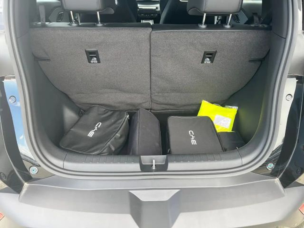 BYD Dolphin Surf